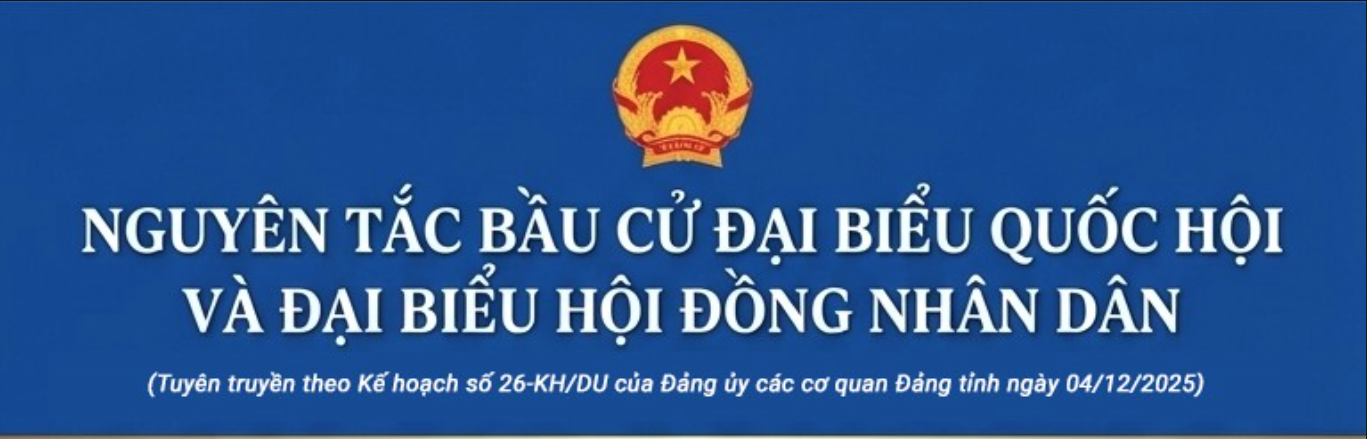 Infphographic: Nguyên tắc bầu cử đại biểu Quốc hội và đại biểu Hội đồng nhân dân